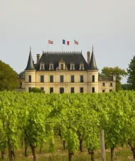 View of Château Palmer in Margaux, Bordeaux, with green vineyards in the foreground under a bright sky