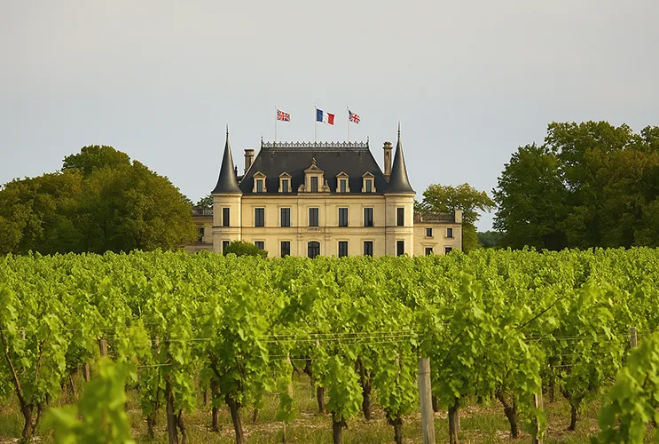 View of Château Palmer in Margaux, Bordeaux, with green vineyards in the foreground under a bright sky