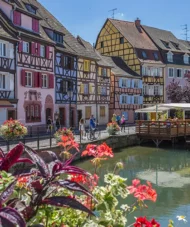 Picturesque view of a canal street in Colmar, France, with colorful flowers along the water and half-timbered houses.