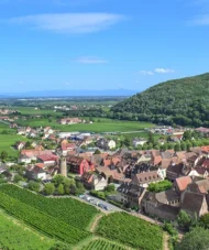 Aerial view of Kaysersberg, Alsace, showing vineyards, historic rooftops, and the green hills of the Vosges mountains.