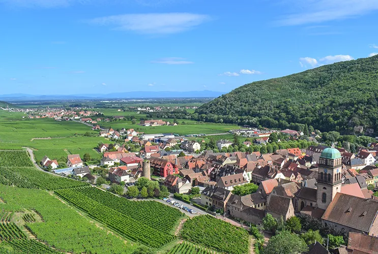 Aerial view of Kaysersberg, Alsace, showing vineyards, historic rooftops, and the green hills of the Vosges mountains.