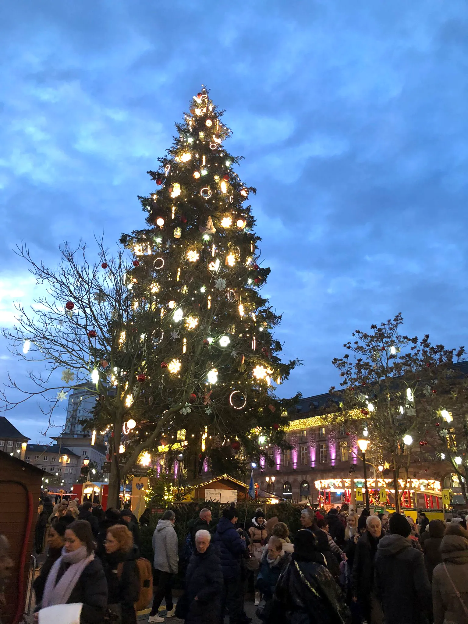 Strasbourg Cathedral and timber-framed houses lit for Christmas